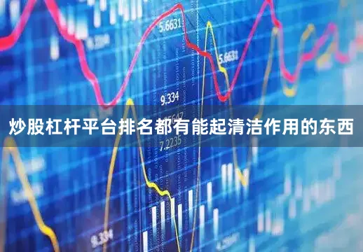炒股杠杆平台排名都有能起清洁作用的东西