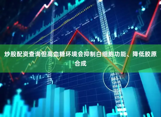 炒股配资查询但高血糖环境会抑制白细胞功能、降低胶原合成